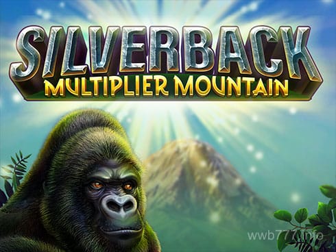 Silverback_ Multiplier Mountain